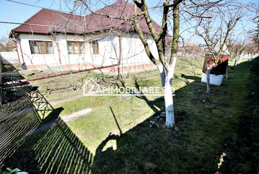 property_image_3024584_12