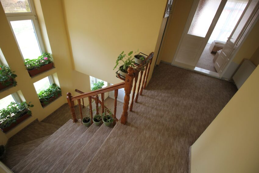 property_image_3007922_13