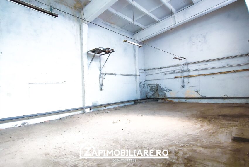 property_image_2163536_6