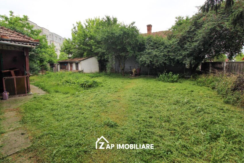 property_image_3174546_4