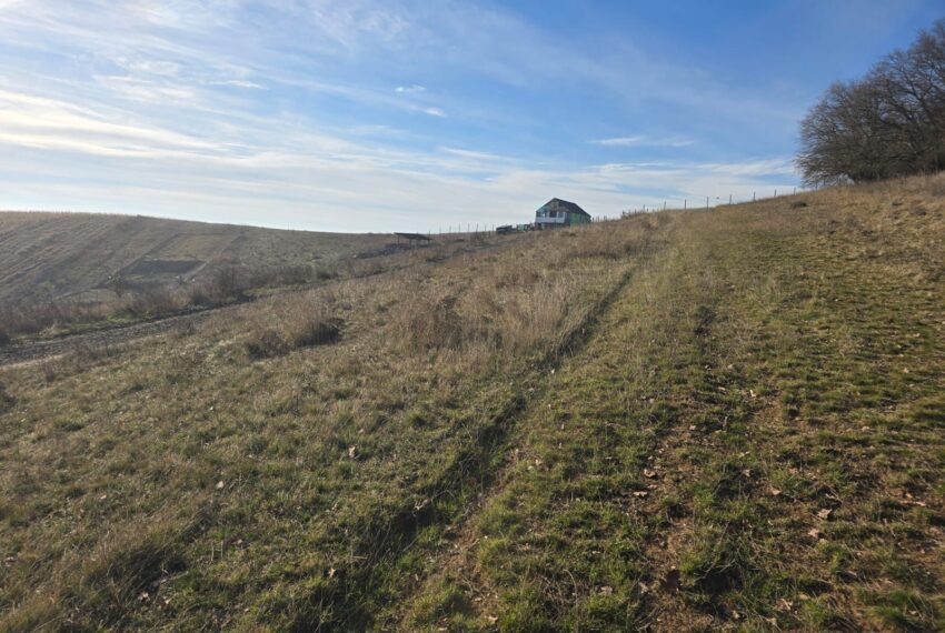 property_image_2862366_5