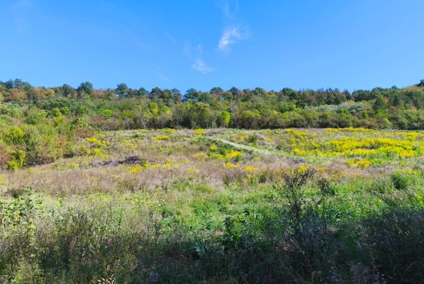 property_image_2720919_4