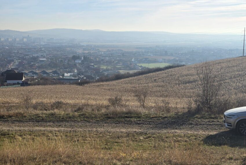 property_image_2862366_7