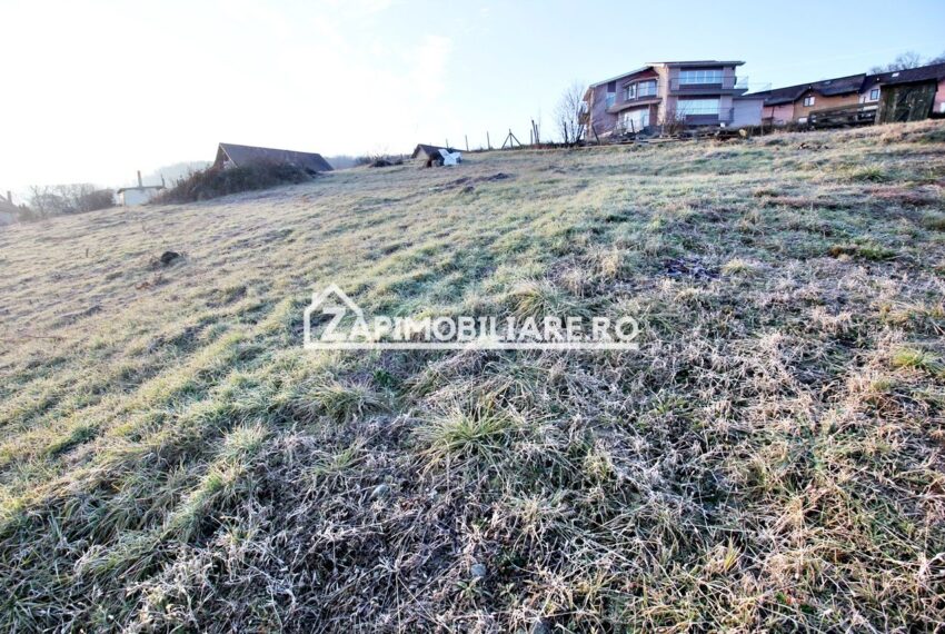 property_image_2249255_3