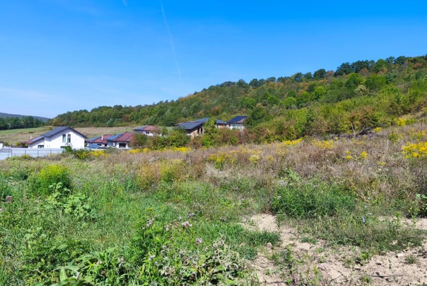property_image_2720919_1