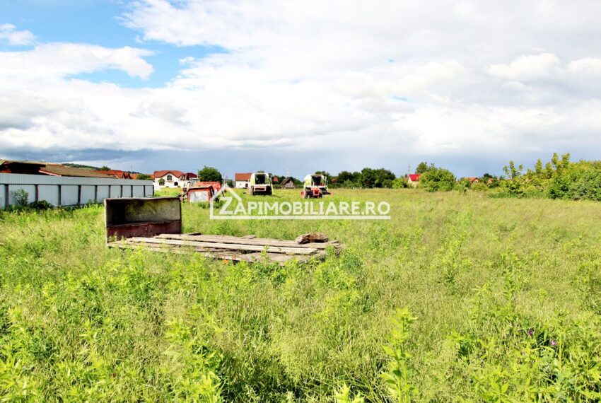 property_image_1215075_0