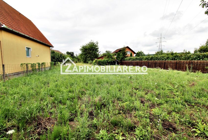 property_image_1247532_3