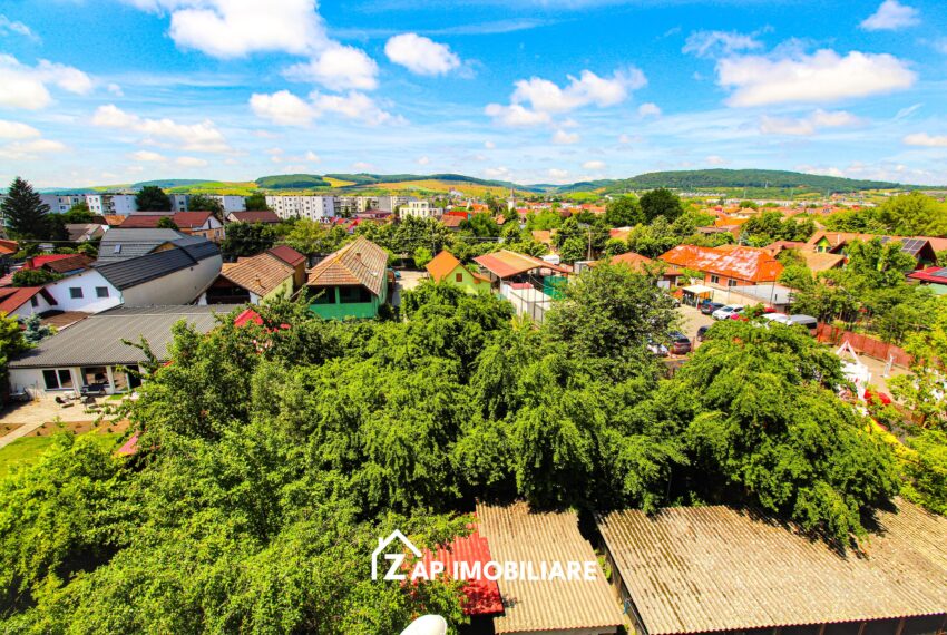 property_image_3177170_12