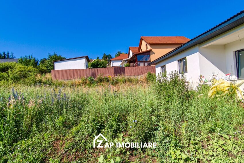 property_image_3171999_4