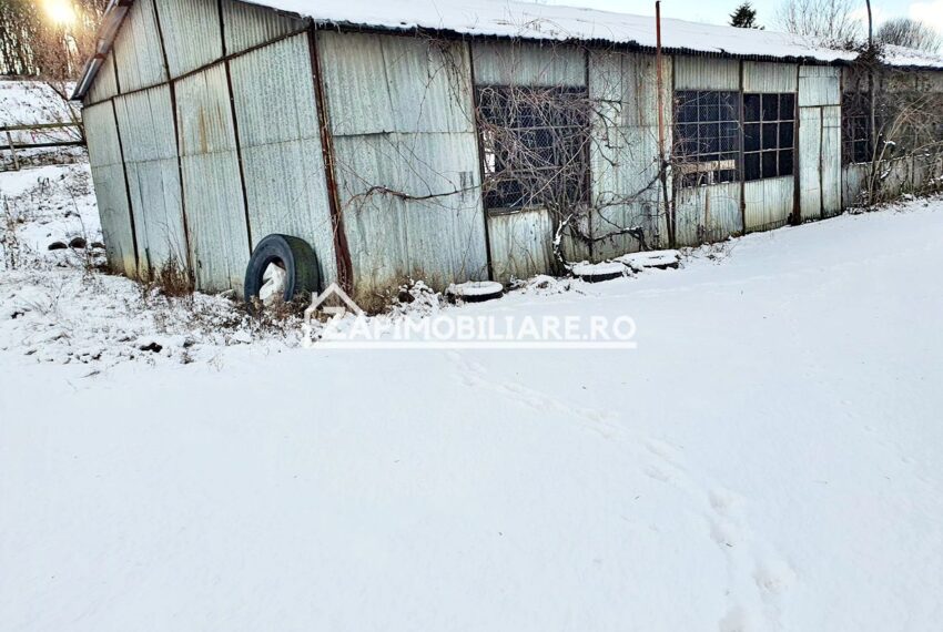 property_image_1391341_6