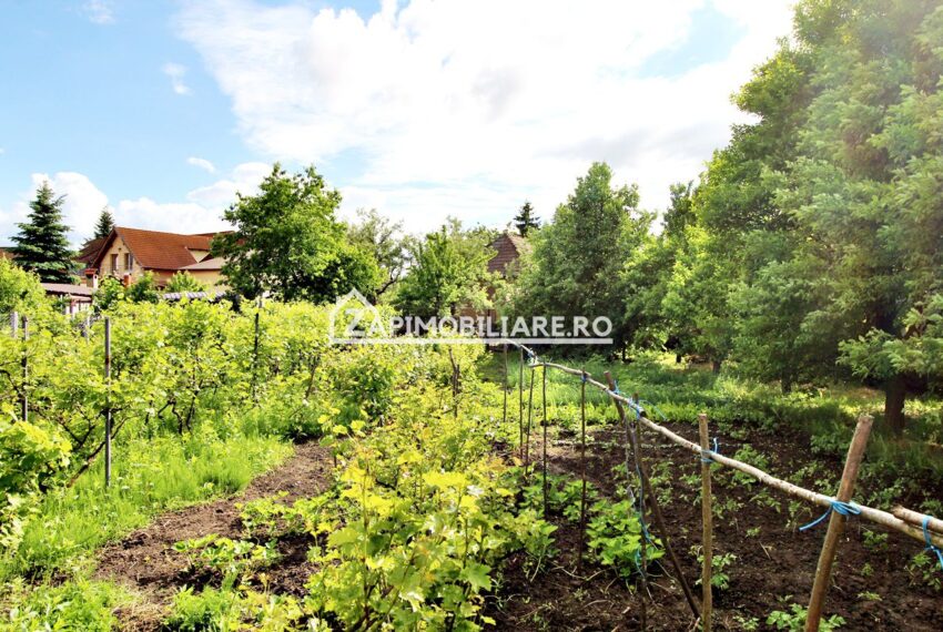 property_image_1215075_3