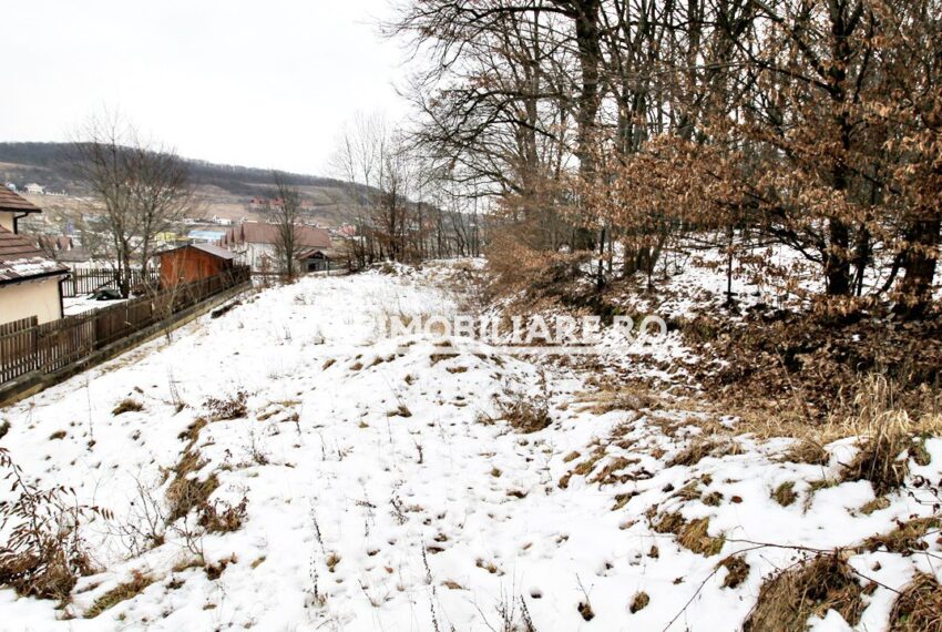 property_image_1429105_6